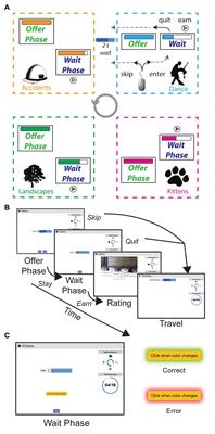 Sensitivity to Sunk Costs Depends on Attention to the Delay